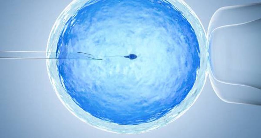 Embriyo Transferi, Embriyo, genetik inceleme, embriyo inceleme, embriyonun genetik incelenmesi